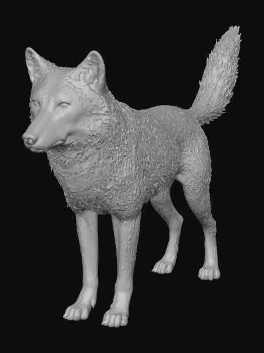 3D model for Wolf in Profile