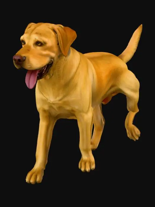 3D model for Golden Companion