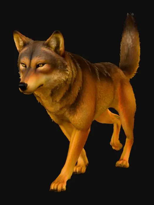 3D model for Wolf in Profile