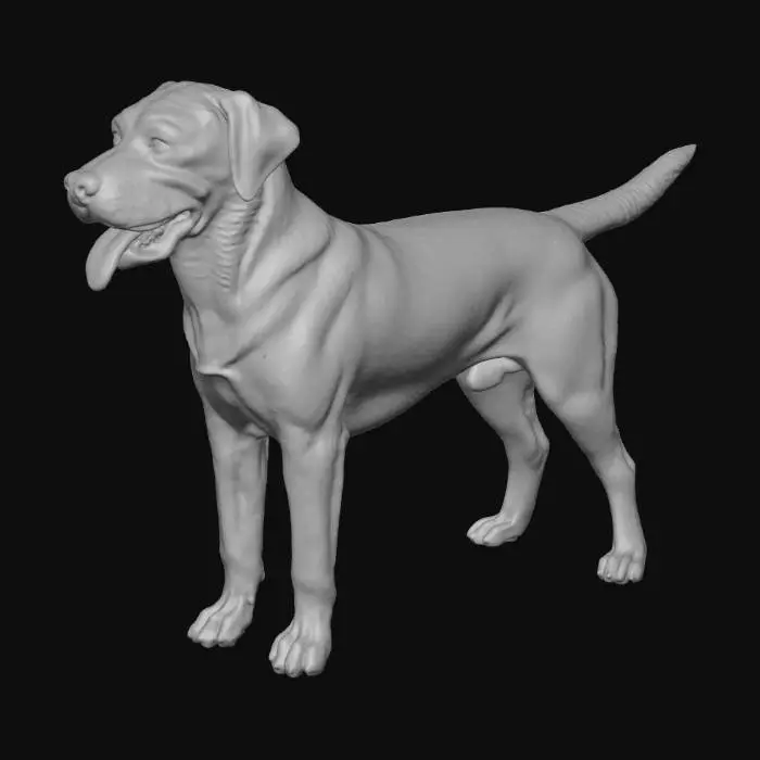 3D model for Golden Companion