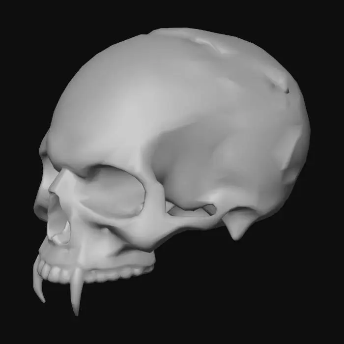3D model for Vampire Skull