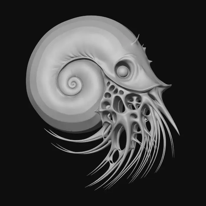 3D model for Spiral Enigma