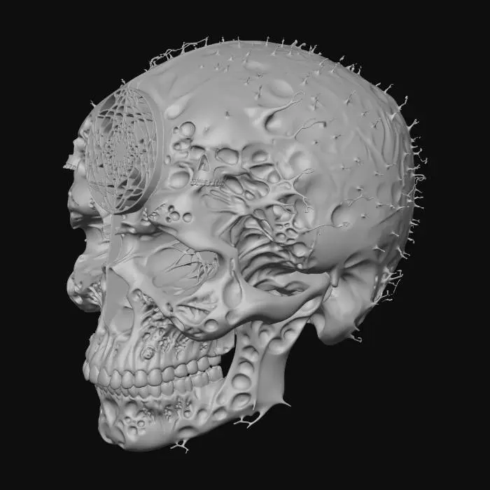 3D model for Ethereal Skull Metamorphosis