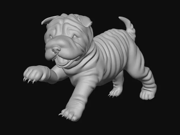 3D model for Playful Sharpei Puppy