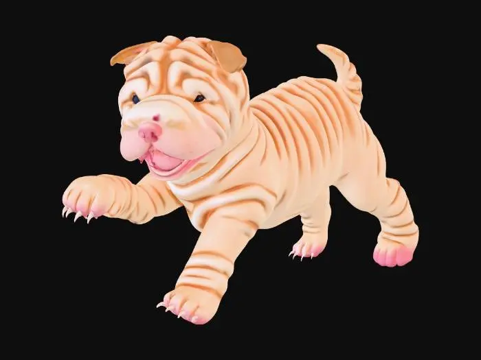 3D model for Playful Sharpei Puppy