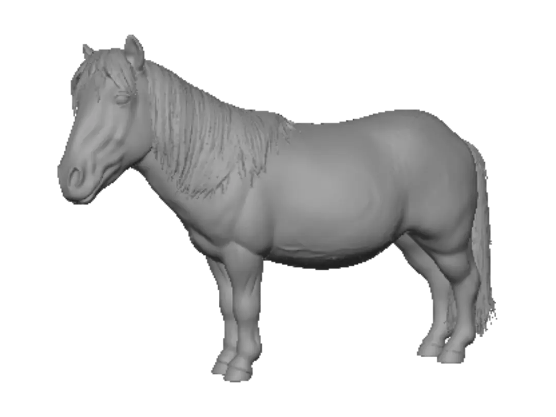 pony