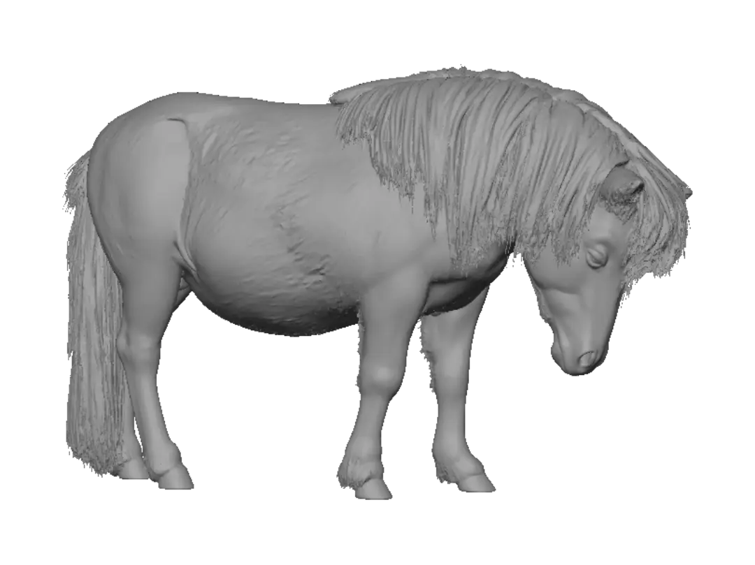 pony