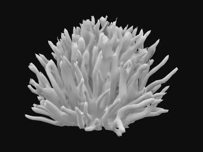 3D model for Aquarium Alien Plant Weed