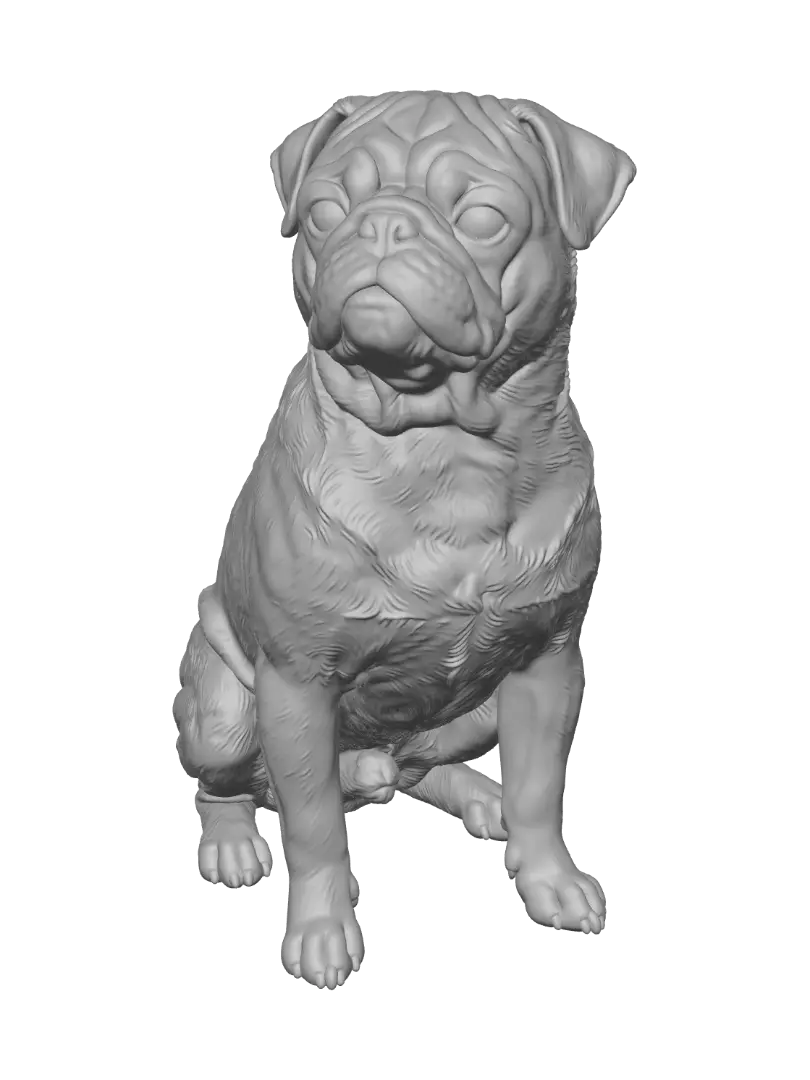 pug