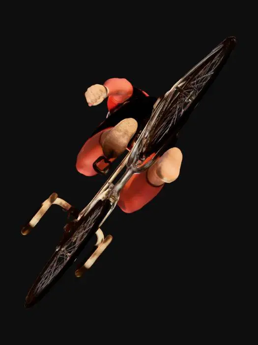 3D model for Finish Line Triumph