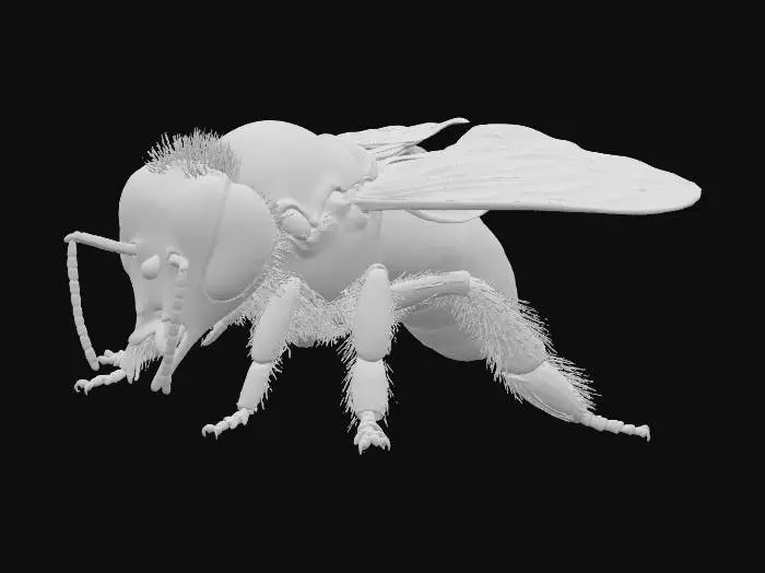 3D model for Bee Delight