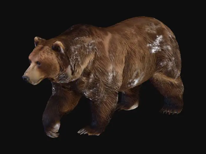 3D model for Winter Trek