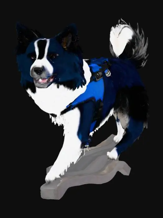 3D model for Paws and Pose