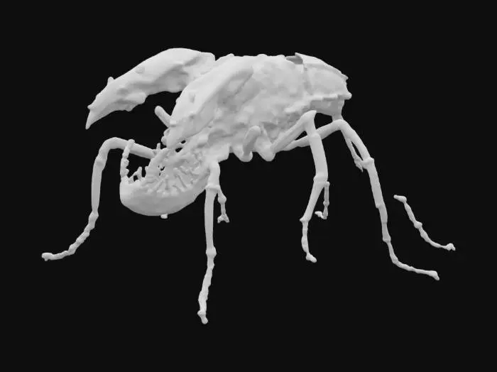 3D model for tow headed animal semi-translucent exoskeleton