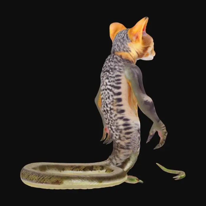 3D model for snake and a cat have a baby show its hybrid child the cat only has two arms no back legs snake body 