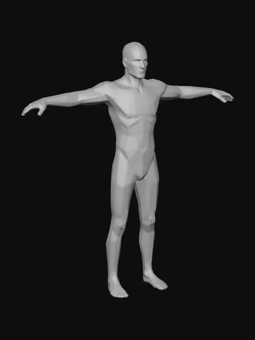 3D model for Polygonal Human Figure