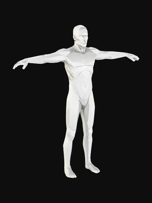 3D model for Polygonal Human Figure