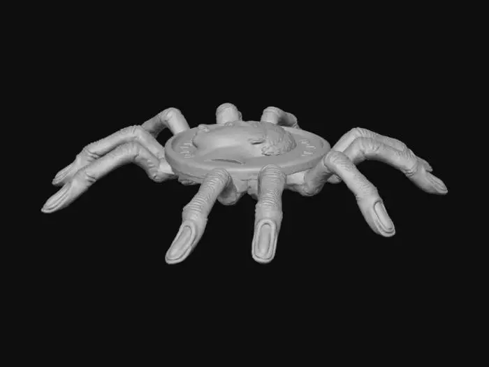 3D model for Arachnocoin