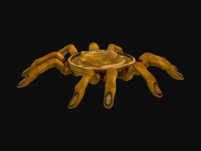 3D model for Arachnocoin