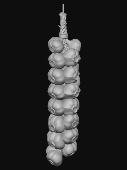 3D model for Garlic Braid