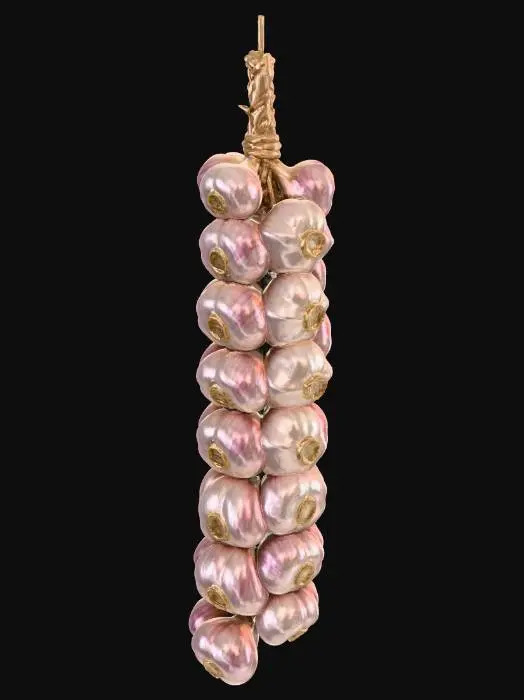 3D model for Garlic Braid