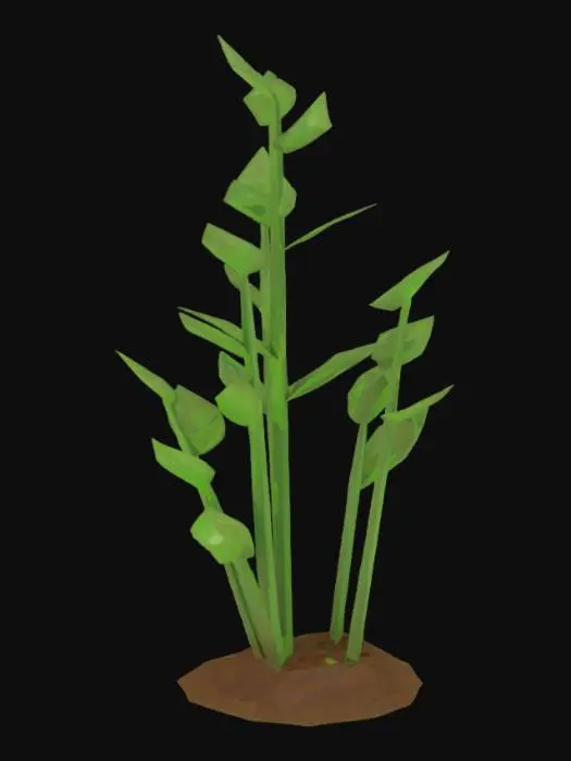 3D model for Growing Green