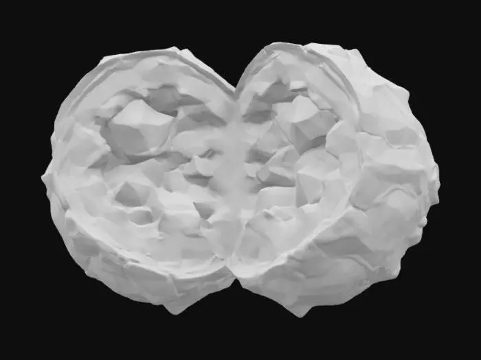 3D model for [OREGON] A large thunderegg split in half showing the beautiful inside, with lots of colors and crystals. 
, #AroundTheWorld#