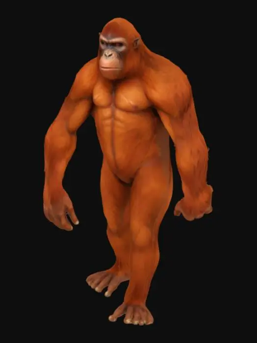 3D model for Orangutan Sentience