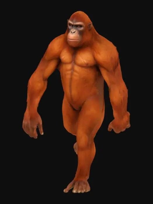 3D model for Orangutan Sentience