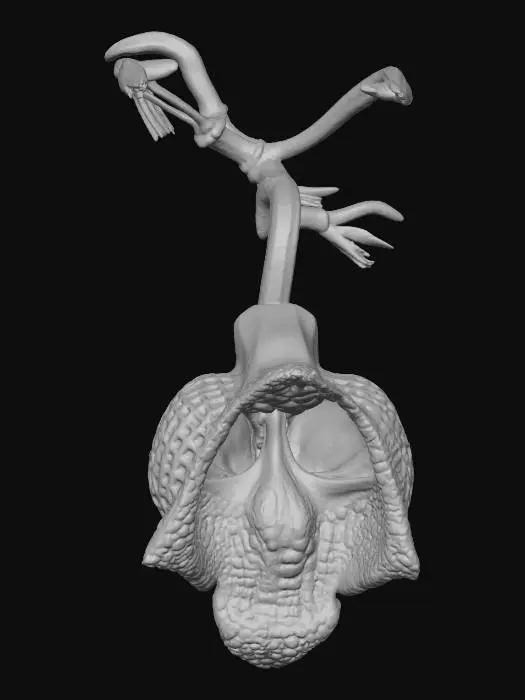 3D model for Darth Vader Orchid