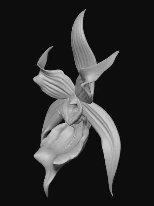 3D model for Mystic Orchid