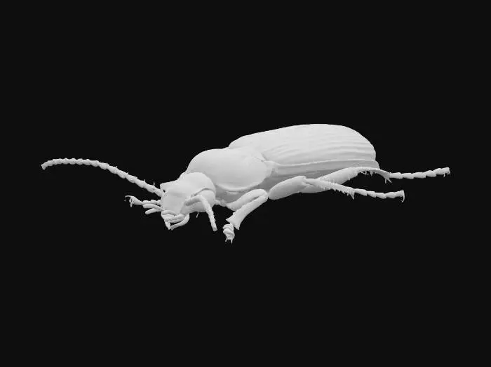 3D model for Create a low-poly realistic 3D beetle model based on the provided image, optimized for Unreal Engine. The model should have clean, game-ready topology with a low polygon count, preserving the beetle’s key anatomical features — segmented body, legs, and antennae. Apply high-quality PBR textures (albedo, normal, roughness, metallic, ambient occlusion) to achieve realistic surface details and natural coloration. The model must be fully optimized for real-time rendering in Unreal Engine, including proper UV mapping and texture resolution suitable for games.