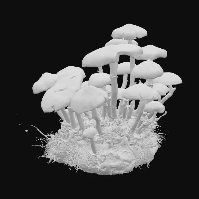 3D model for Create a low-poly realistic 3D model of mushrooms based on the provided image, optimized for Unreal Engine. The model should have clean, game-ready topology with a low polygon count, accurately capturing the shape and details of the mushroom caps, stems, and any distinctive features. Apply high-quality PBR textures (albedo, normal, roughness, metallic, ambient occlusion) to achieve realistic surface details, natural colors, and material properties. Ensure proper UV mapping and texture resolution suitable for real-time rendering in games.