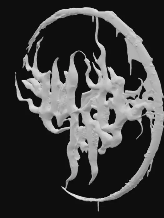 3D model for Decay Circle