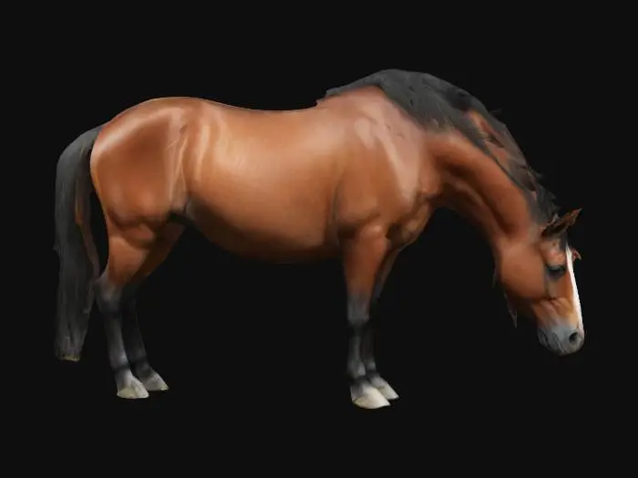 3D model for realistic grazing horse, highly detailed
