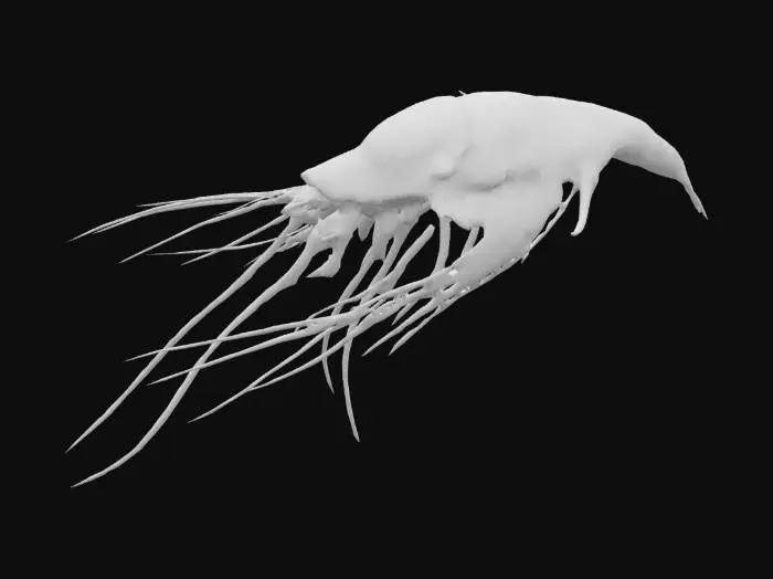 3D model for Microscopic Marvel