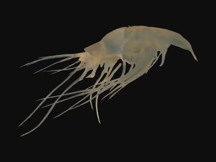 3D model for Microscopic Marvel