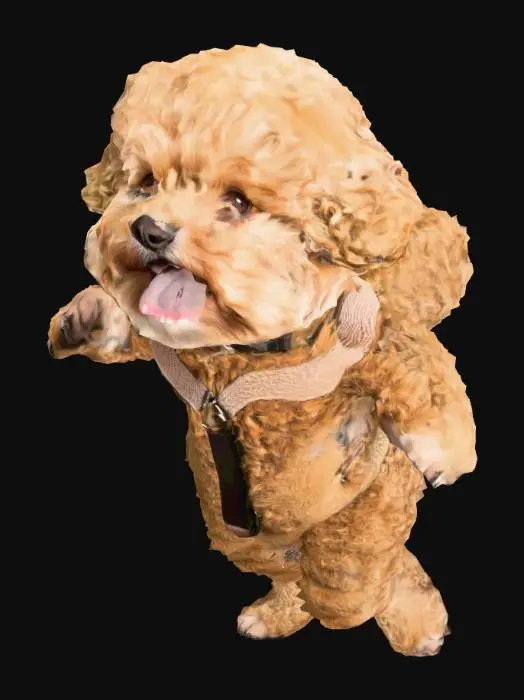 3D model for toy poodle, small dog, puppy, brown curly fur, fluffy, round face, cute expression, baby dog, teddy bear-like, soft fur, curly hair texture, warm color tones, T자 포즈