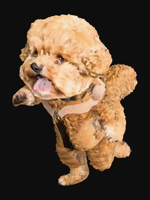 3D model for toy poodle, small dog, puppy, brown curly fur, fluffy, round face, cute expression, baby dog, teddy bear-like, soft fur, curly hair texture, warm color tones, T자 포즈