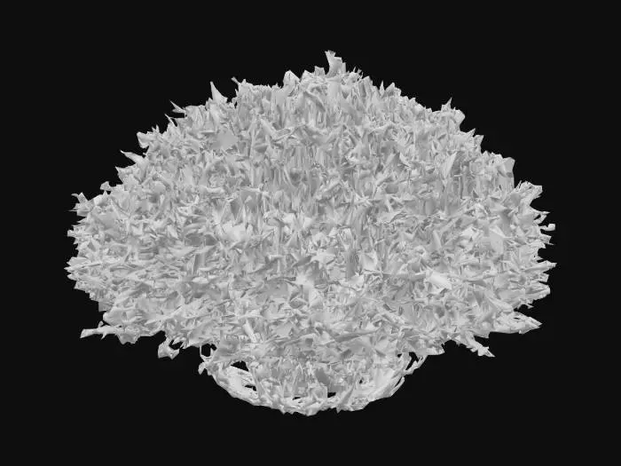 3D model for Thick temperate forest bush with unlit texture, flat lighting, with albedo map only, no lighting information baked in.