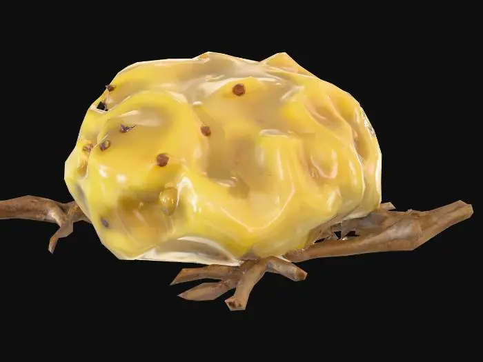 3D model for A lumped up piece of tree resin