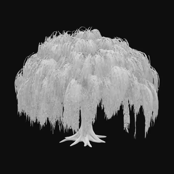 3D model for Willow tree with unlit texture, flat lighting, with albedo map only, no lighting information baked in.