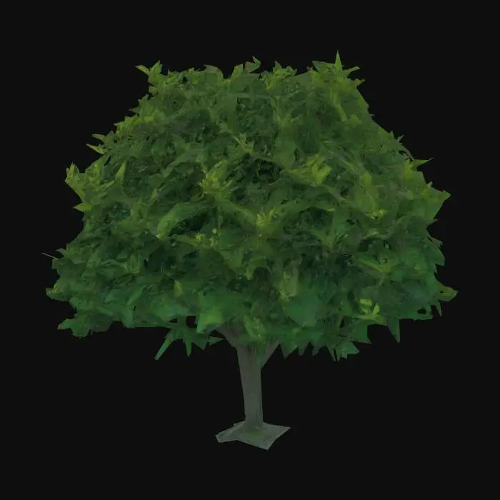 3D model for Thick temperate forest bush with unlit texture, flat lighting, with albedo map only, no lighting information baked in.