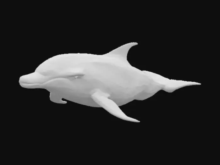 3D model for A reef with two dolphins and azure blue water. Many fish swim around and the dolphins play in the bubbles. you see an octopus some anemona, sea sponges, sea cucumber and a squirrel in diving helmet and pace suit. In front of the atoll is steep cliff down to the buttom of the #ocean#