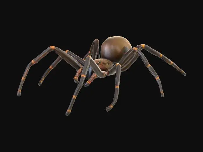 3D model for Create a spider model similar to spiders in lord of the rings
