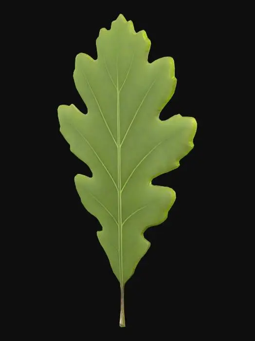 3D model for Oak Leaf on Gold, #PBR#