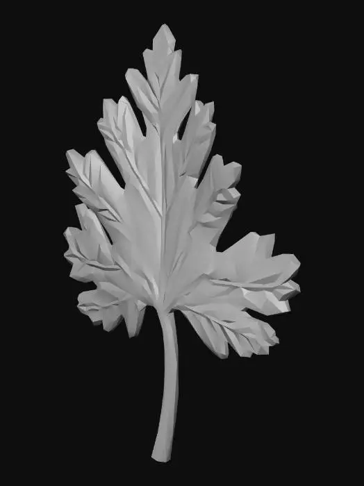 3D model for I want a single parsley leaf