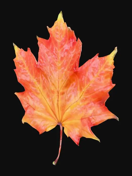 3D model for Autumn Maple Leaf, #Thanksgiving#
