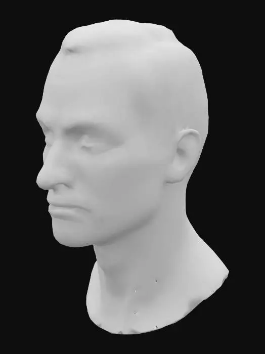 3D model for Pensive Portrait