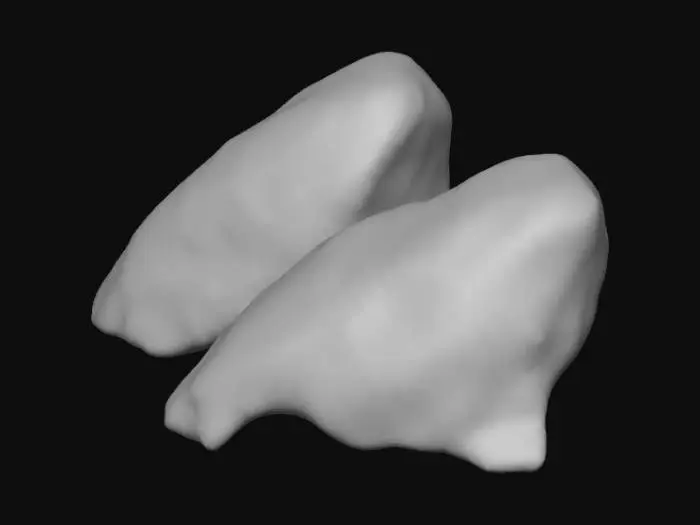 3D model for small piles of grey rocks craved as sealions with a single eye, craved as single blinded eyes, or patterned birds without faces,